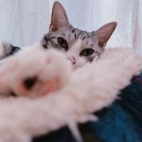 みずむら 会員画像