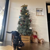 ちひろ0419 会員画像