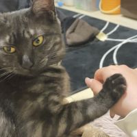 みやなな 会員画像