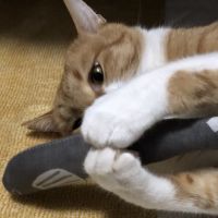 xゆみさんxさん