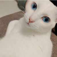 おはまやんさん