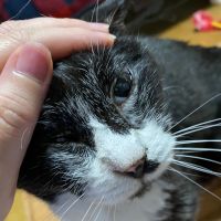 たぬこ77 会員画像