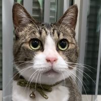 すあま829 会員画像