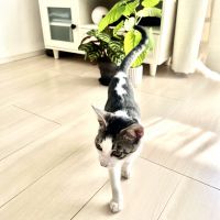 miyuu0915 会員画像