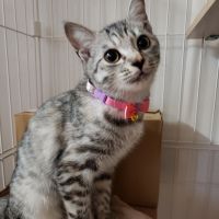 ココちゃん♪ 会員画像