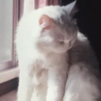 京一さん