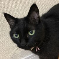 みらの0420さん