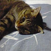 むらさき 会員画像