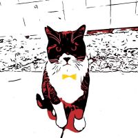 さっちゃんと3匹さん