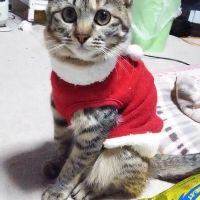 タッシー 会員画像