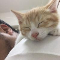 ちゃたろー 会員画像