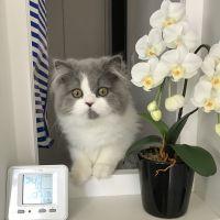 いずいず 会員画像