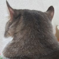 ユミ吉 会員画像