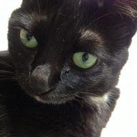 ジジママ0145 会員画像