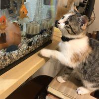 ういぽぽ 会員画像