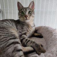 taka10さん
