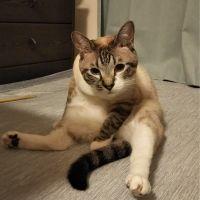 セナポ 会員画像