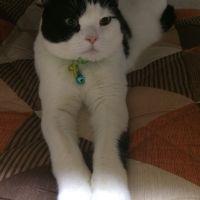 会員画像