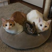 ちーとーひー