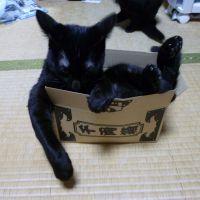 会員画像