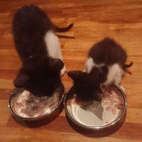 まりっぺん 会員画像