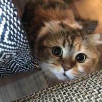 まろん1109 会員画像