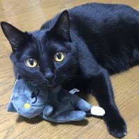 会員画像