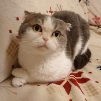 会員画像