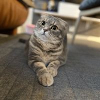 せんべー 会員画像