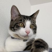 なおなおみ 会員画像