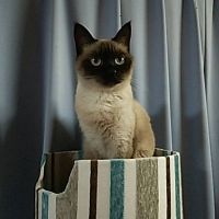 なほちゃん 会員画像