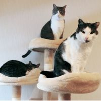 かぁーりん 会員画像