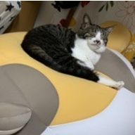 のかわ 会員画像