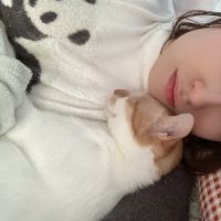 haruneco 会員画像