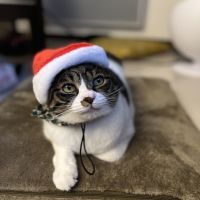 まさかつさんさん