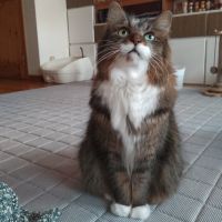 ラーナママさん