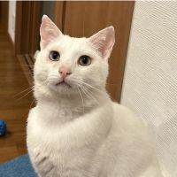 ツインクル 会員画像