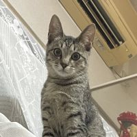 むーみゆ 会員画像