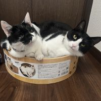 たけし2211 会員画像