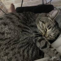 いぐれ 会員画像