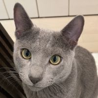 アッコッコ 会員画像