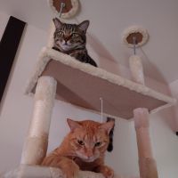 まつなみ 会員画像