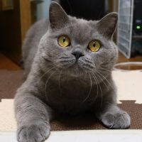 ぎんた0317さん