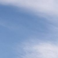 エイダ 会員画像