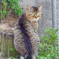 みやぴんさん