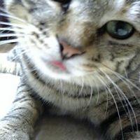 海釣り大好き娘 会員画像