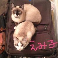 会員画像