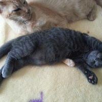 くりた 会員画像