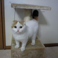 ミミちゃん 会員画像