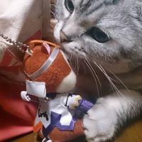 しゅり0524 会員画像